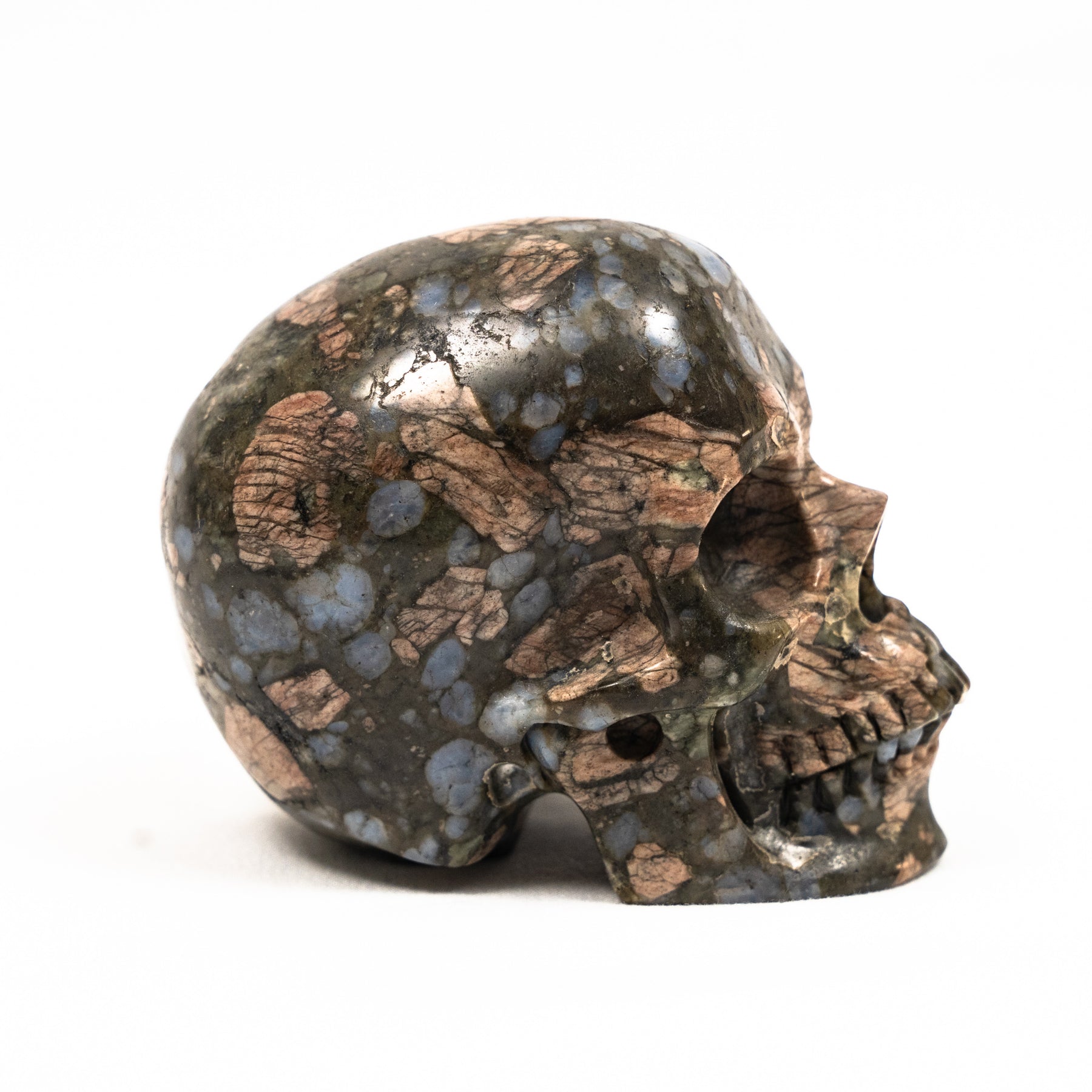Galaxy Rhyolite (Que Sera) Crystal Skull - Hand Carved 3.5" Large Skull - RARE