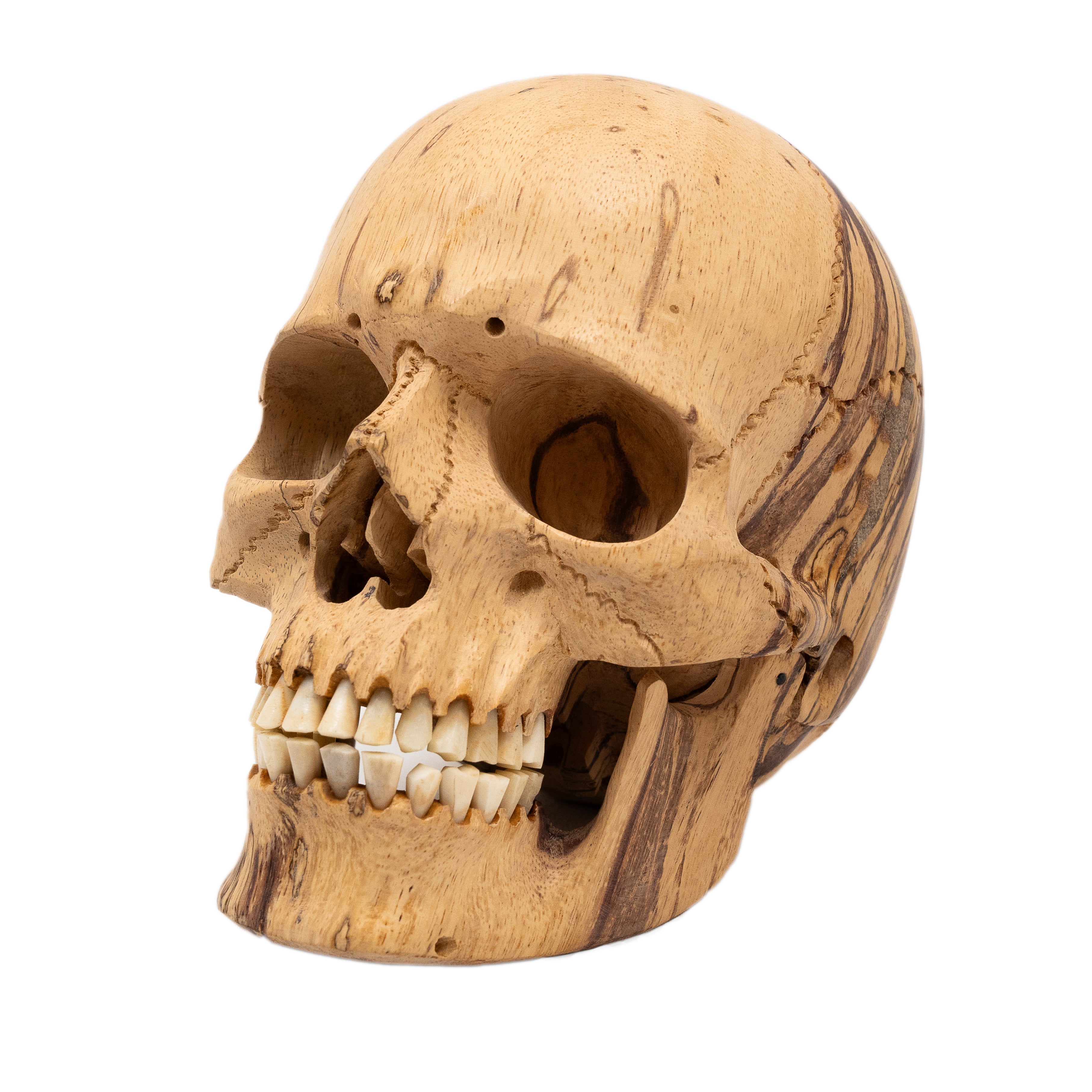 gunda skull 廃盤 Skull8-1.jpg?v=1723852618