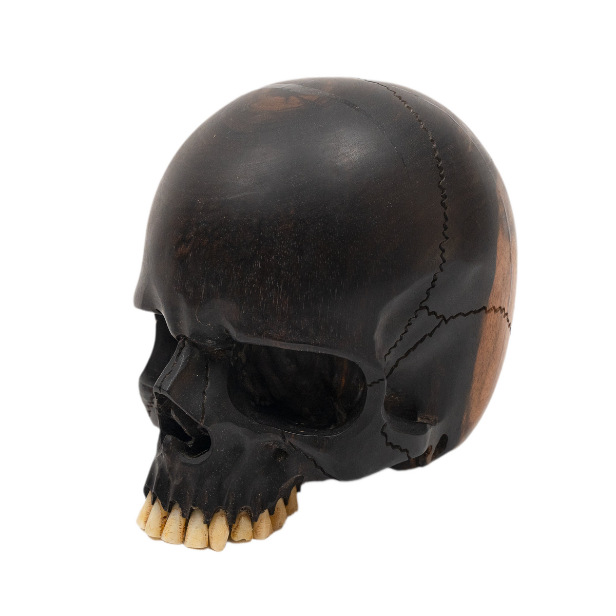 Jawless Skull - Hand Carved Black Ebony Wood Skull Large 5.75" Human Skull Replica Skeleton Head