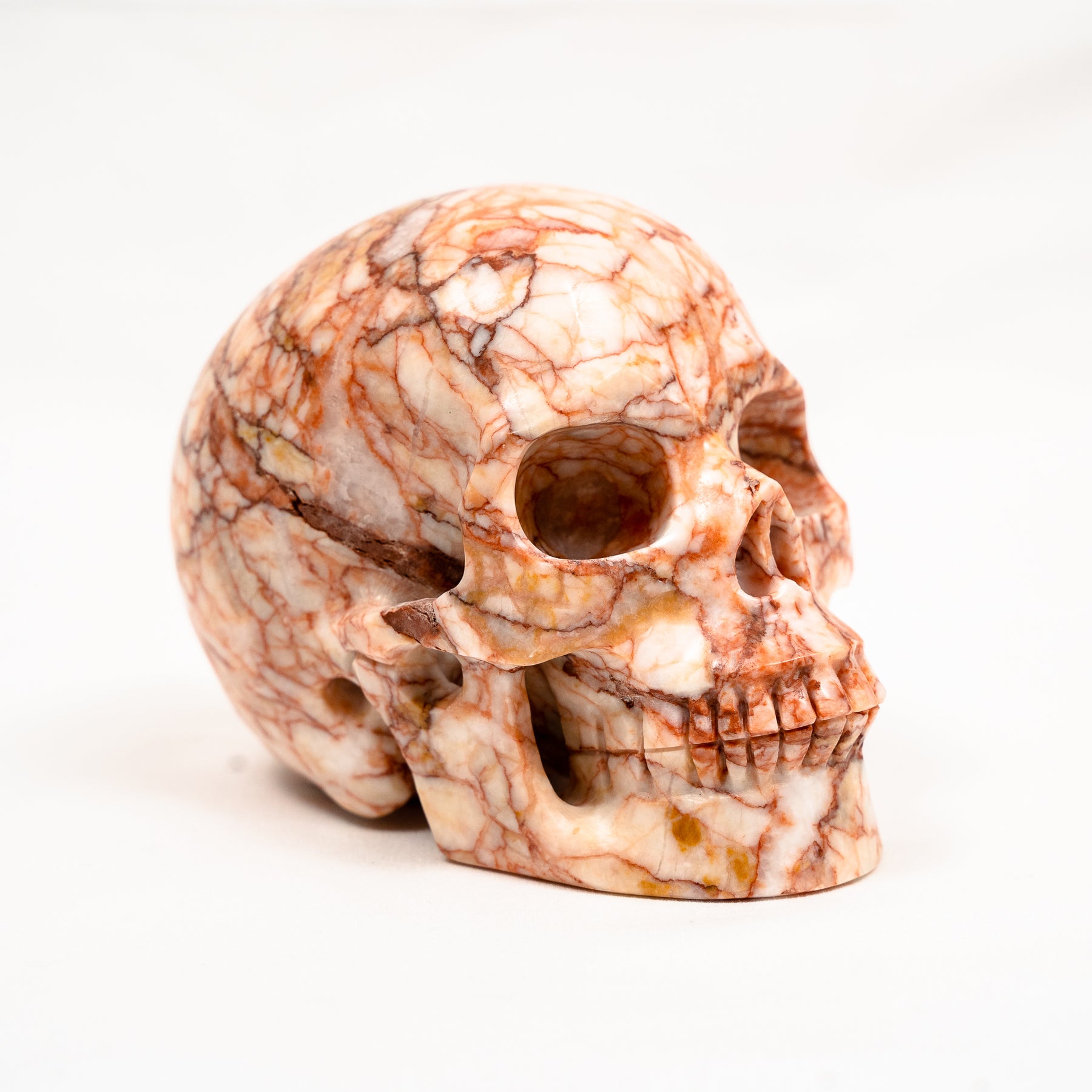 Red Vein Network Jasper Skull - Hand Carved 5" Large Crystal Skull