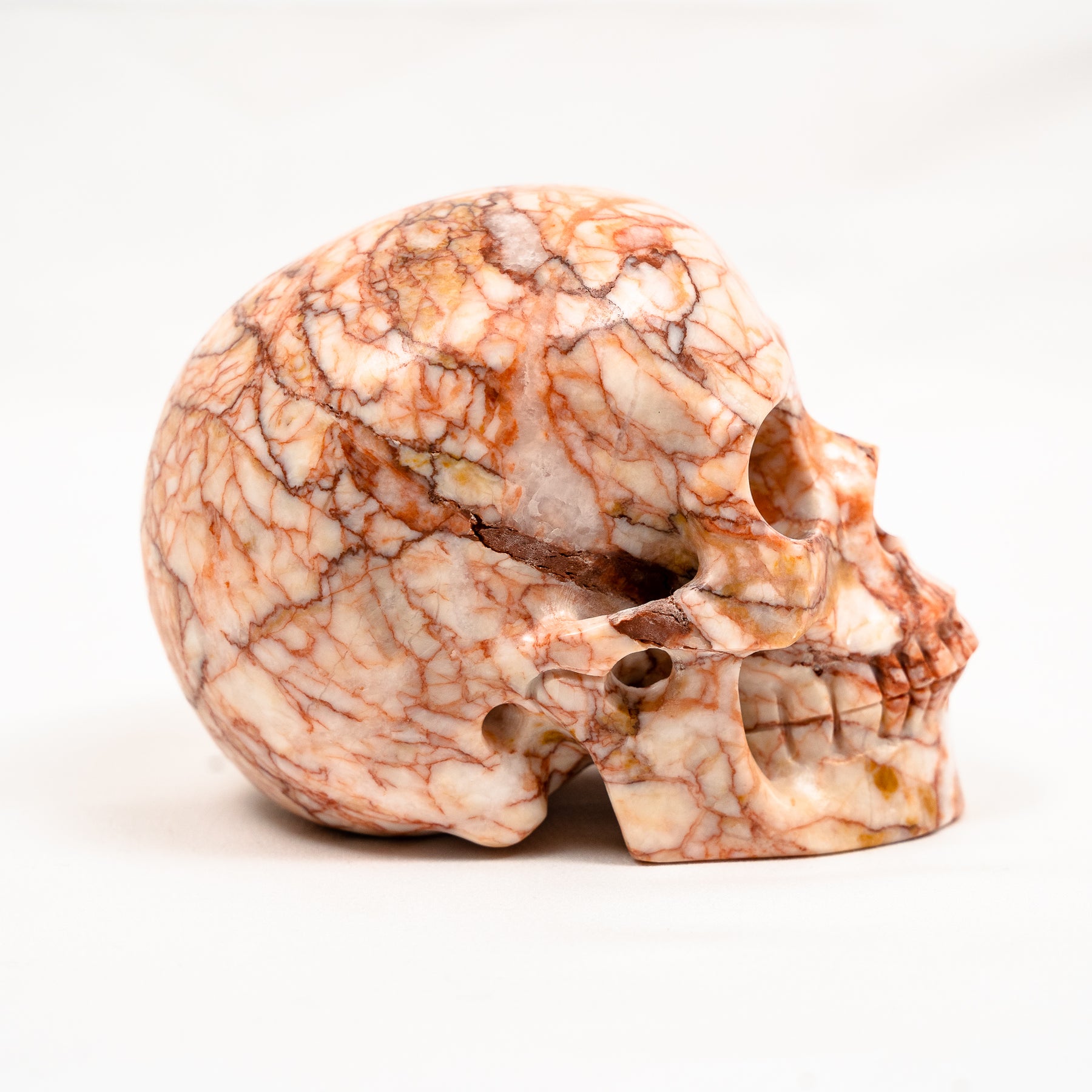 Red Vein Network Jasper Skull - Hand Carved 5" Large Crystal Skull