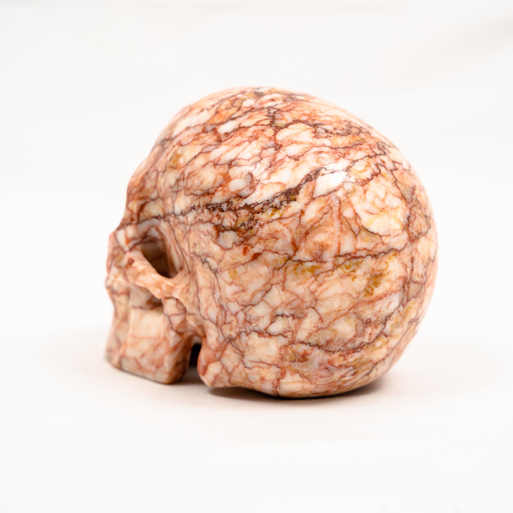 Red Vein Network Jasper Skull - Hand Carved 5" Large Crystal Skull