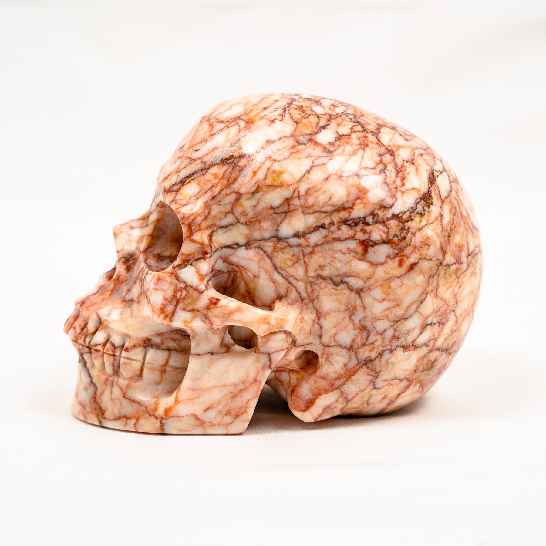 Red Vein Network Jasper Skull - Hand Carved 5" Large Crystal Skull