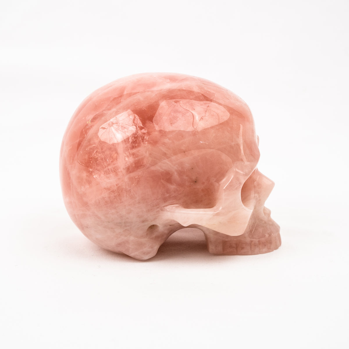 Rose Quartz Jawless Skull - Large 4.5" Hand Carved Crystal Skull