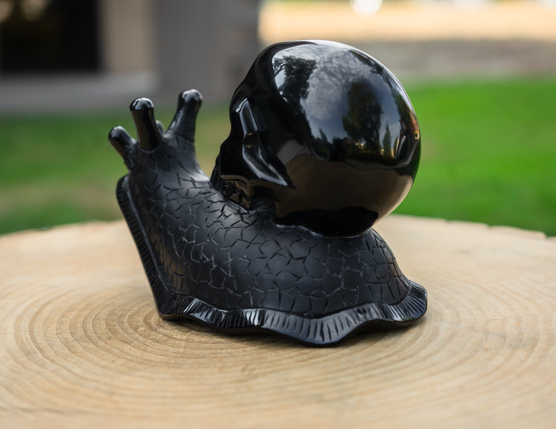 Black Obsidian 6" Crystal Skull Snail