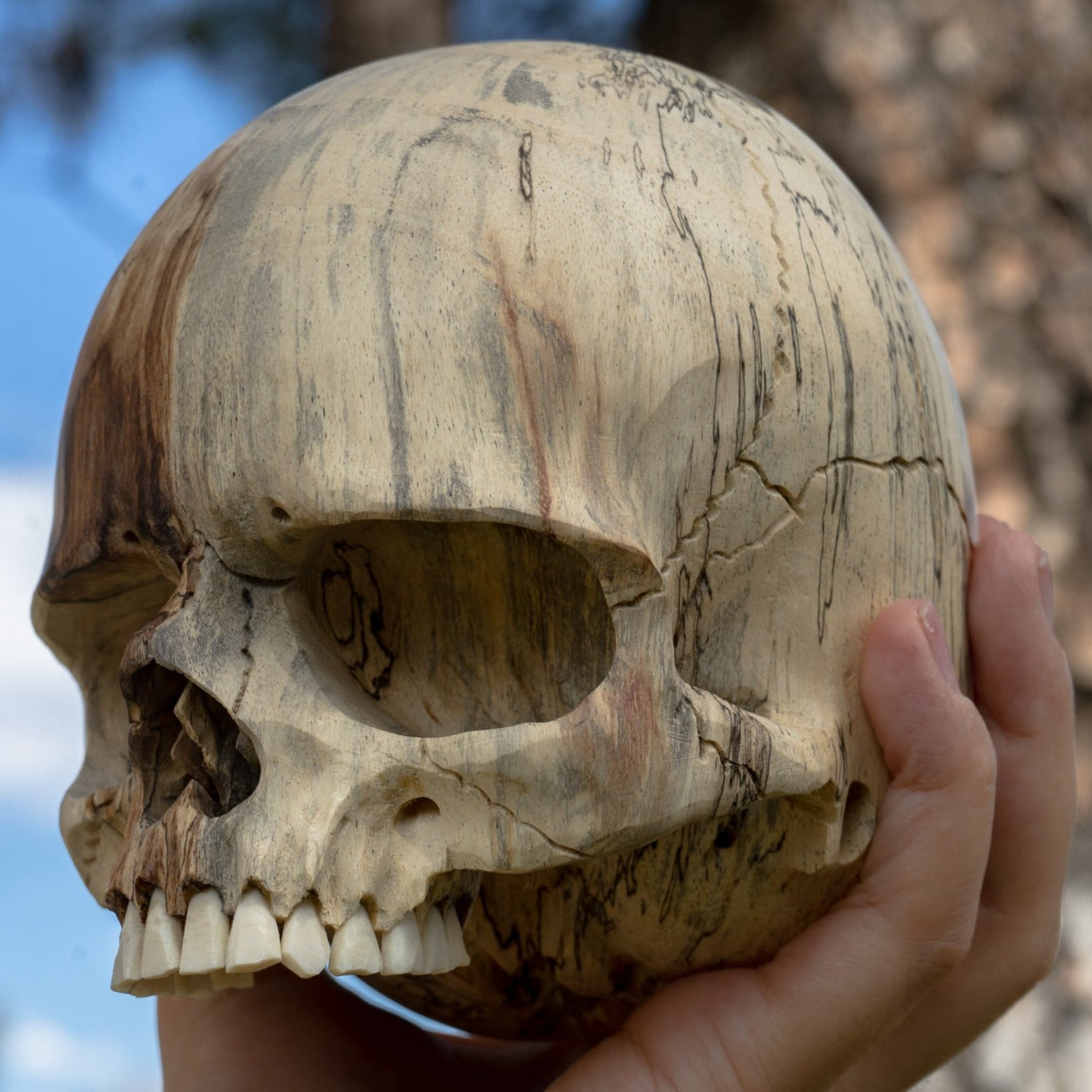 Tamarind Wood 5.5