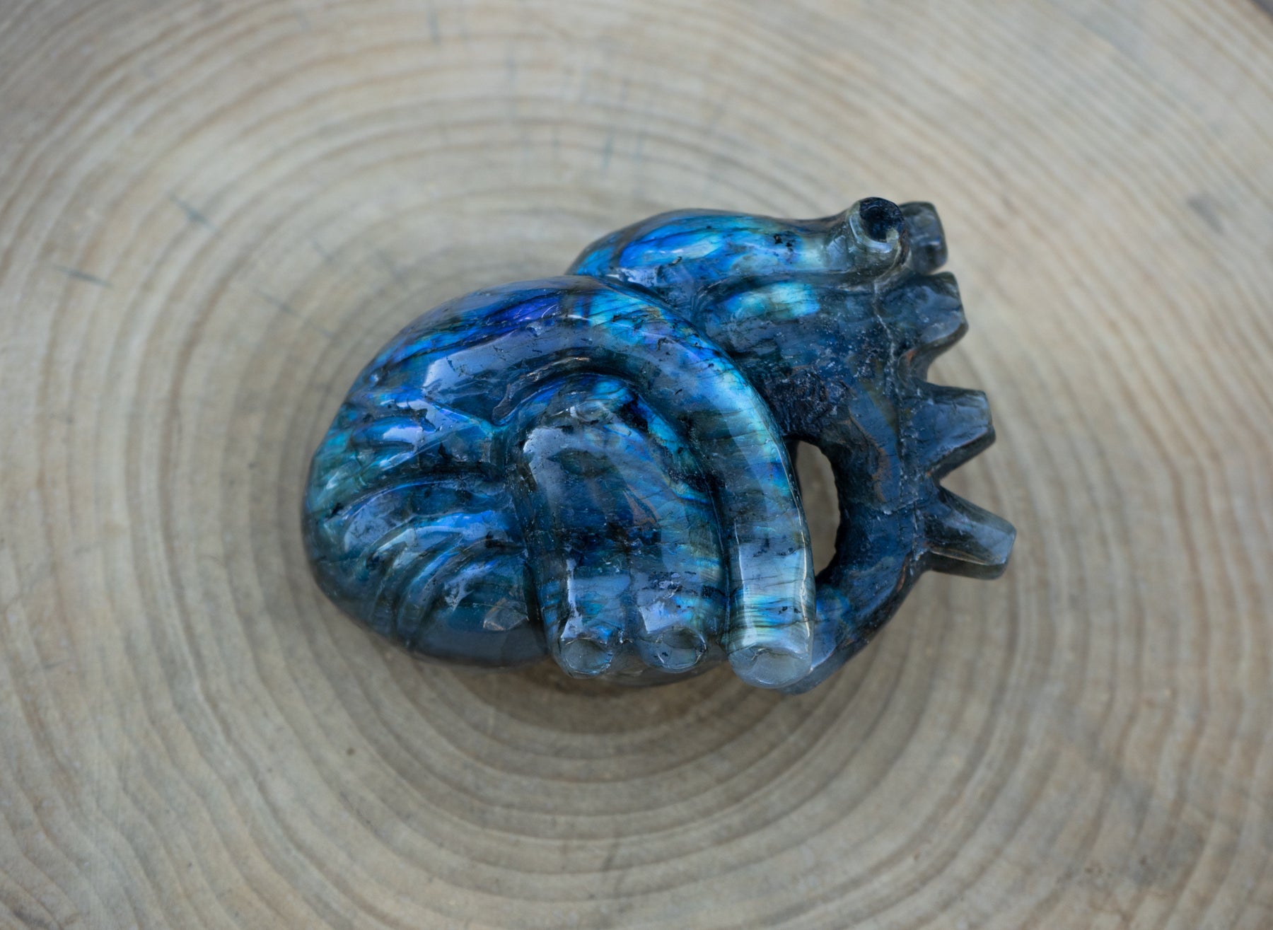 Labradorite 5" Anatomical Crystal Heart