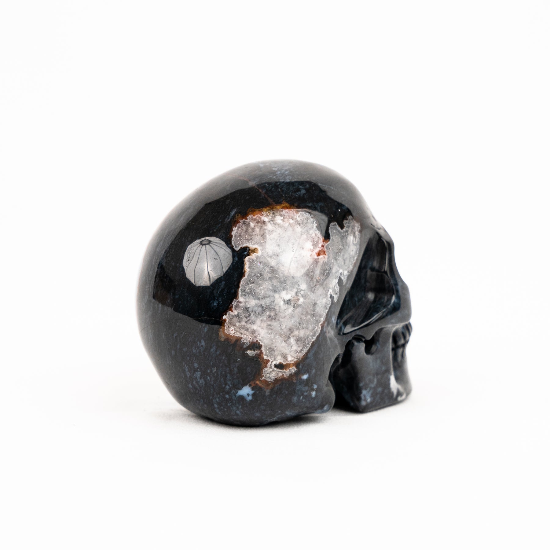 Ocean Jasper Skull - Hand Carved 3.5" Crystal Skull