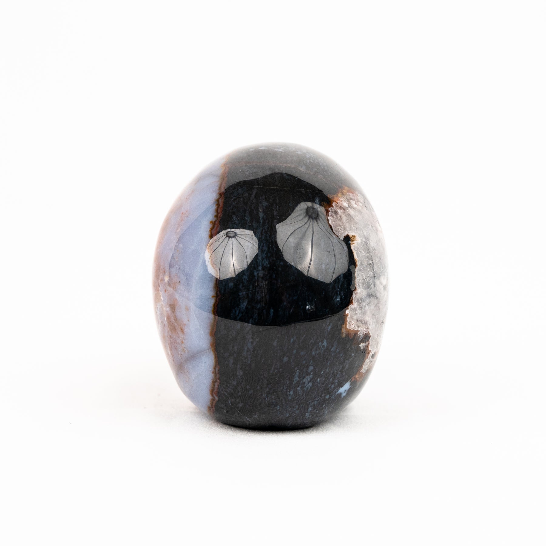 Ocean Jasper Skull - Hand Carved 3.5" Crystal Skull