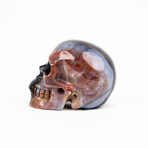 Ocean Jasper Skull - Hand Carved 3.5" Crystal Skull