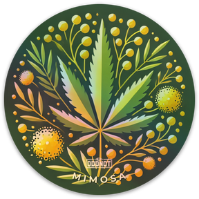 iGrowCan - All in One DIY Grow Kit