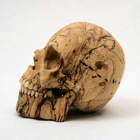 Wood Skull - Life Size Large 5" Hand Carved Human Skull Replica Skeleton Head