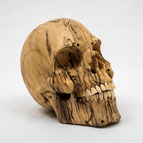 Wood Skull - Life Size Large 5" Hand Carved Human Skull Replica Skeleton Head