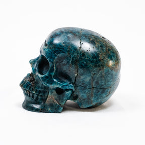 Blue Apatite Crystal Skull - Hand Carved 4" Reiki, Chakra Healing Crystal Skull Stones RARE
