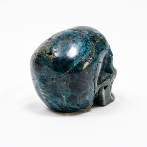 Blue Apatite Crystal Skull - Hand Carved 4" Reiki, Chakra Healing Crystal Skull Stones RARE