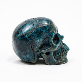 Blue Apatite Crystal Skull - Hand Carved 4" Reiki, Chakra Healing Crystal Skull Stones RARE