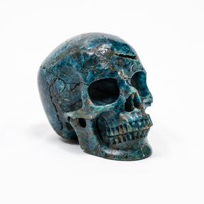 Blue Apatite Crystal Skull - Hand Carved 4" Reiki, Chakra Healing Crystal Skull Stones RARE