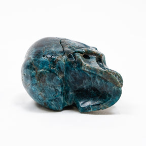 Blue Apatite Crystal Skull - Hand Carved 4" Reiki, Chakra Healing Crystal Skull Stones RARE