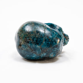 Blue Apatite Crystal Skull - Hand Carved 4" Reiki, Chakra Healing Crystal Skull Stones RARE