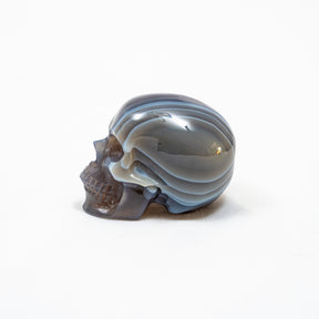 Agate Crystal Skull - Large Hand Carved 2" Reiki, Chakra Healing Crystal Skull Stone RARE