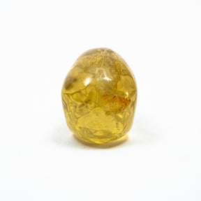 Natural High Quality Citrine Yellow Quartz Crystal Skull - Hand Carved 2.5" Reiki, Chakra Healing Crystal Skull Stones - RARE