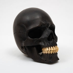 Black Ebony Wood Skull - Large 5.5" Hand Carved Human Skull Replica Skeleton Head