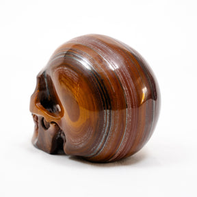 Red Iron Tigers Eye Quartz Crystal Skull - Large Hand Carved 5" Reiki, Chakra Healing Stone Skull
