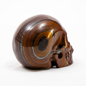 Red Iron Tigers Eye Quartz Crystal Skull - Large Hand Carved 5" Reiki, Chakra Healing Stone Skull