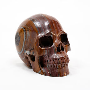 Red Iron Tigers Eye Quartz Crystal Skull - Large Hand Carved 5" Reiki, Chakra Healing Stone Skull
