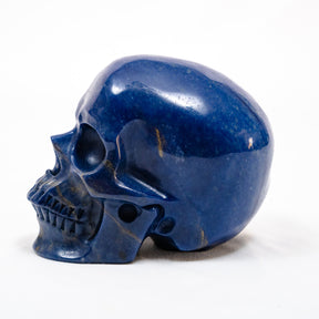Blue Aventurine Crystal Skull - Large Hand Carved 5"  Chakra Healing Crystal Gemstone Skull RARE