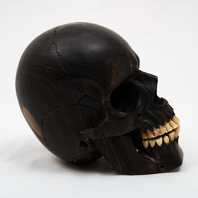 Black Ebony Wood Skull - Large 5.5" Hand Carved Human Skull Replica Skeleton Head