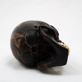 Black Ebony Wood Skull - Large 5.5" Hand Carved Human Skull Replica Skeleton Head