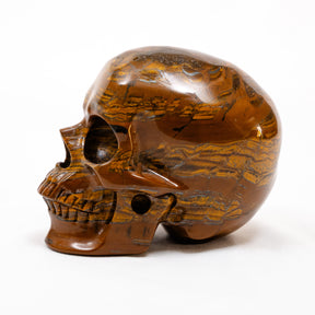 Iron Tigers Eye Quartz Crystal Skull - Large Hand Carved 5" Reiki, Chakra Healing Stone Skull