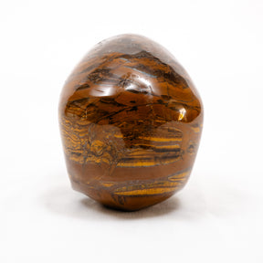Iron Tigers Eye Quartz Crystal Skull - Large Hand Carved 5" Reiki, Chakra Healing Stone Skull
