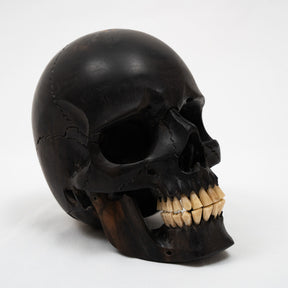 Black Ebony Wood Skull - Large 5.5" Hand Carved Human Skull Replica Skeleton Head