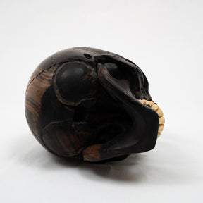 Black Ebony Wood Skull - Large 5.5" Hand Carved Human Skull Replica Skeleton Head