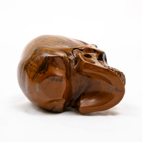 Iron Tigers Eye Quartz Crystal Skull - Large Hand Carved 5" Reiki, Chakra Healing Stone Skull