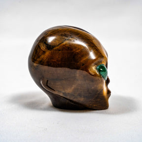 Tigers Eye Crystal Alien Malachite Eyes - 3" Hand Carved Crystal Skull