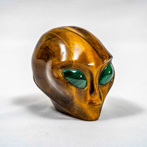 Tigers Eye Crystal Alien Malachite Eyes - 3" Hand Carved Crystal Skull