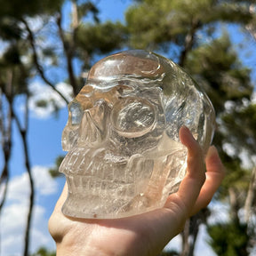 AAA Grade High Quality Clear Quartz 6" Crystal Skull - RARE