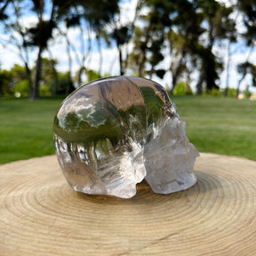 AAA Grade High Quality Clear Quartz 6" Crystal Skull - RARE