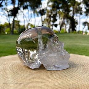 AAA Grade High Quality Clear Quartz 6" Crystal Skull - RARE