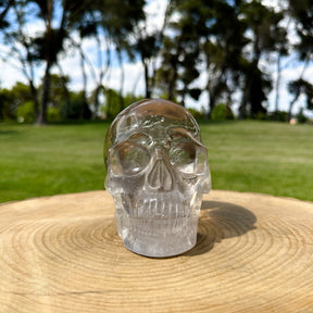 AAA Grade High Quality Clear Quartz 6" Crystal Skull - RARE