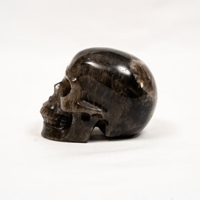 Black Quartz Crystal Skull - Hand Carved 3.5" Large Skull