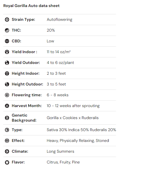 iGrowCan - All in One DIY Grow Kit