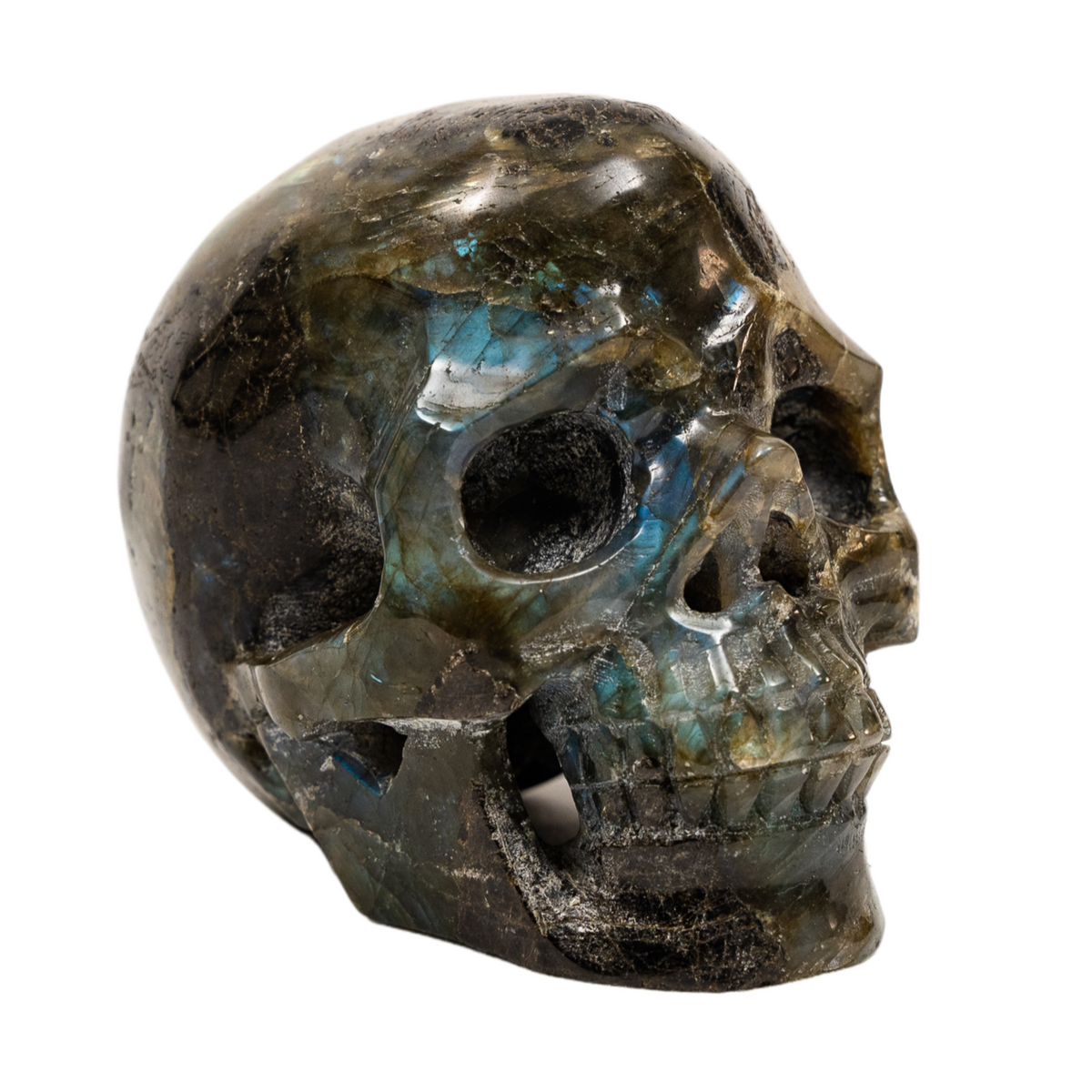 Labradorite Crystal Skull - Hand Carved 4.25" Large Skull