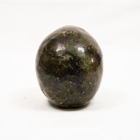 Labradorite Crystal Skull - Hand Carved 4.25" Large Skull