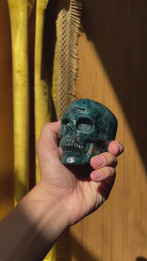 Blue Apatite Crystal Skull - Hand Carved 4" Reiki, Chakra Healing Crystal Skull Stones RARE