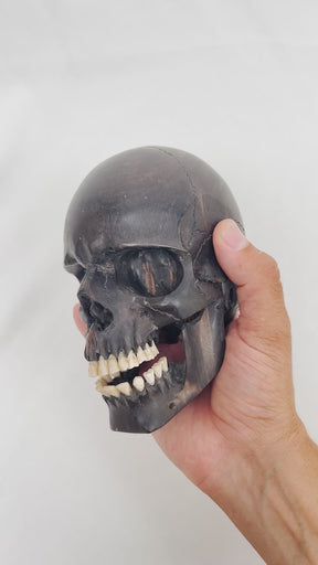 Black Ebony Wood Skull - Large 5.5" Hand Carved Human Skull Replica Skeleton Head