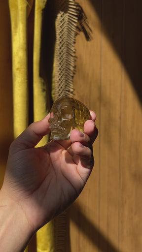 Natural High Quality Citrine Yellow Quartz Crystal Skull - Hand Carved 2.5" Reiki, Chakra Healing Crystal Skull Stones - RARE